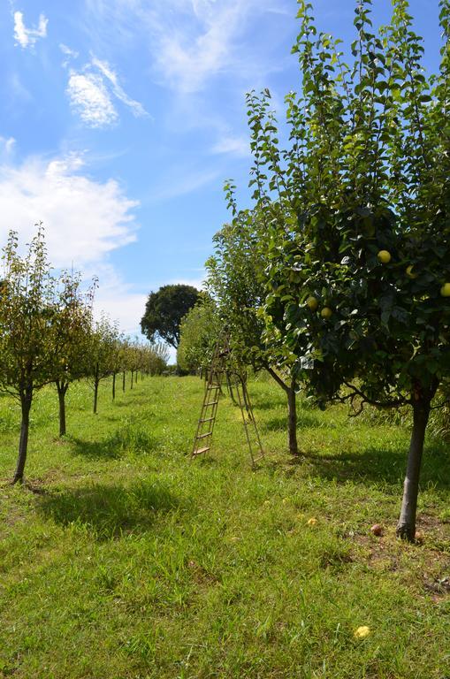Agriturismo Dondino Cavriana Exterior foto